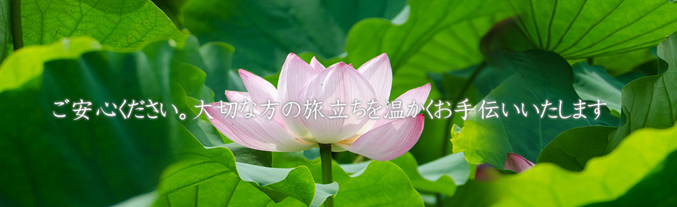 欄プラン39万円